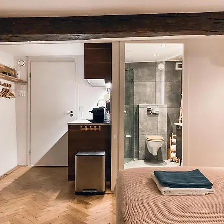 Luxurious Loft In Center *