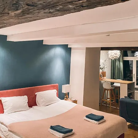 Luxurious Loft In Center Apartment Maastricht